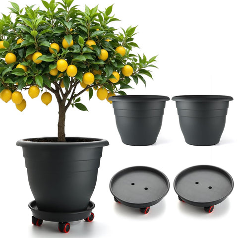 RooTrimmer maceta frontal 16 pulgadas, gran capacidad para raíces