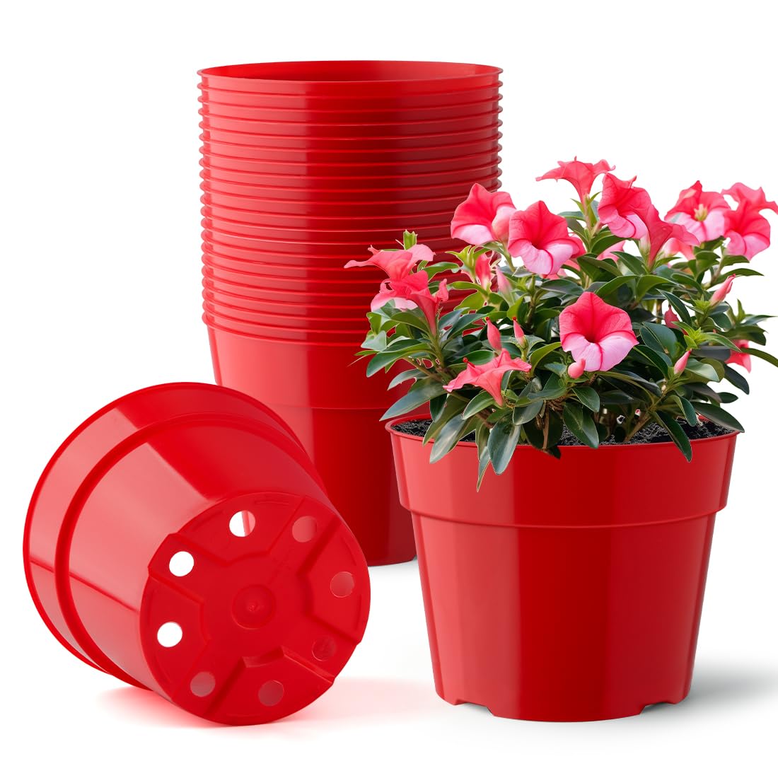 RooTrimmer maceta frontal roja mostrando diseño y agujeros de drenaje