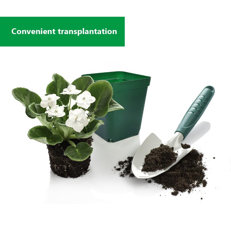 RooTrimmer macetas con suculentas mostrando trasplante y presentación atractiva