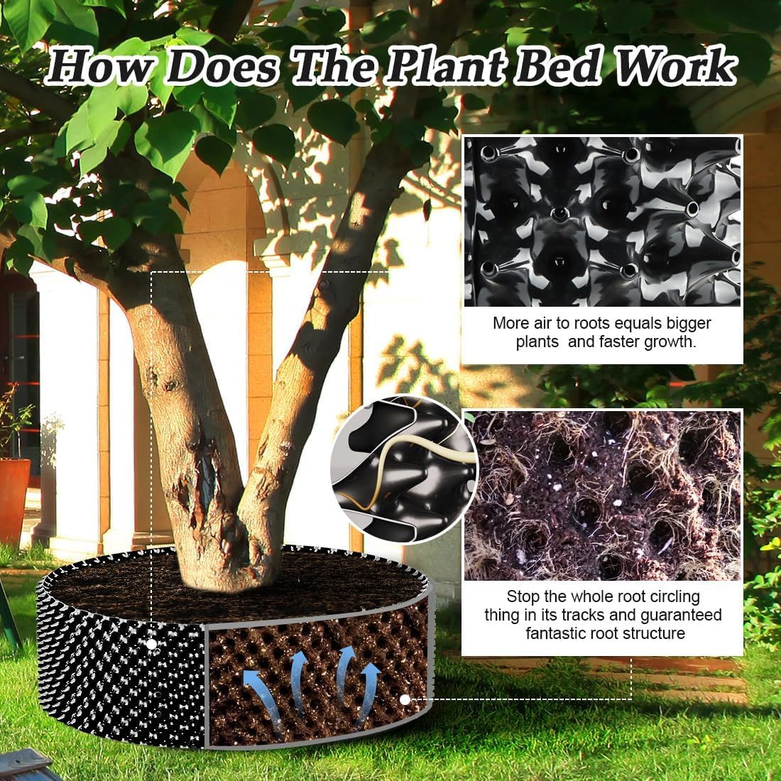 RooTrimmer maceta 20x20 con árbol joven para comparar tamaño y capacidad