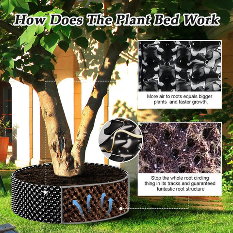 RooTrimmer maceta 20x20 con árbol joven para comparar tamaño y capacidad