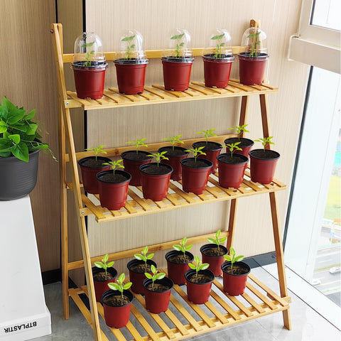RooTrimmer macetas en uso con hierbas y suculentas, optimiza crecimiento inicial
