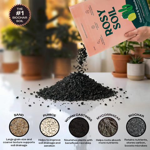 Rosy Soil comparación de escala junto a maceta, rinde para varias plantas
