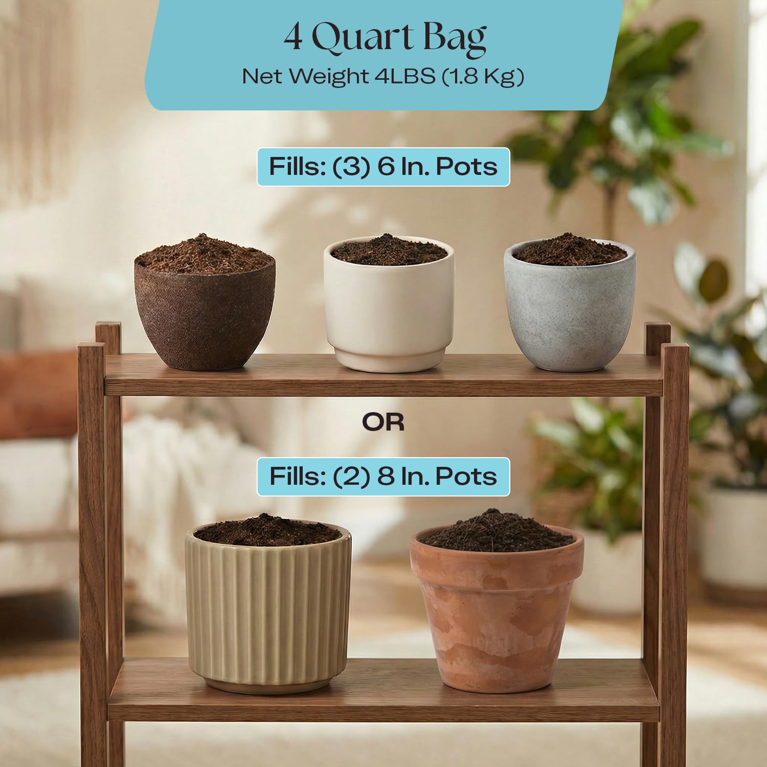 Rosy Soil comparación de tamaño 4 qt junto a una regadera para escala