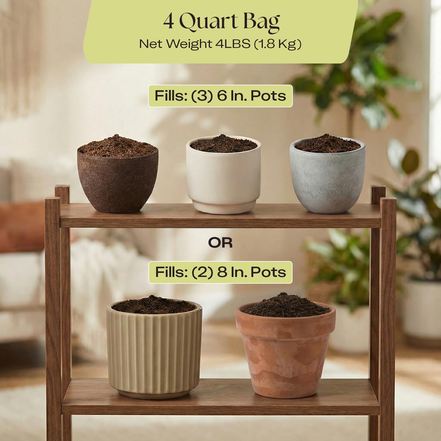Rosy Soil comparación de tamaño con manos para referencia de volumen