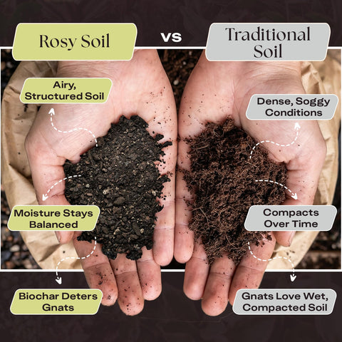 Rosy Soil biochar en primer plano aumentando retención de nutrientes