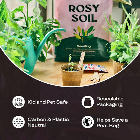 Rosy Soil ingredientes visibles corteza, compost y arena beneficios estructurales