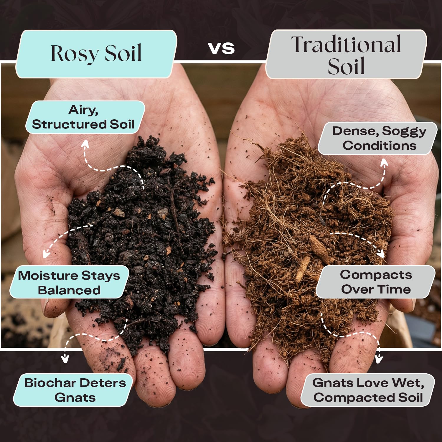 Rosy Soil detalle de micorrizas visibles, favorece raíces fuertes