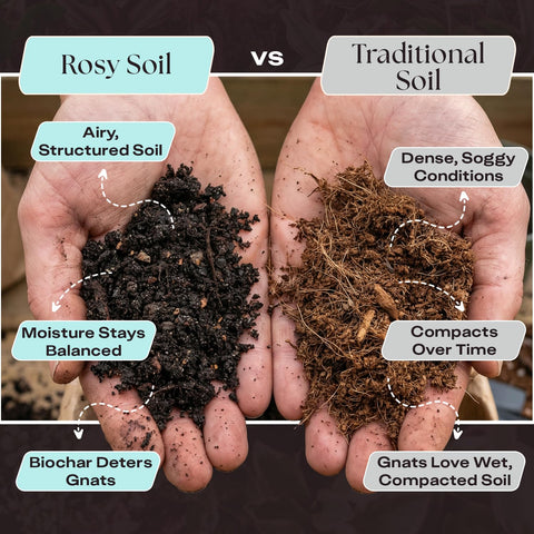 Rosy Soil detalle de micorrizas visibles, favorece raíces fuertes