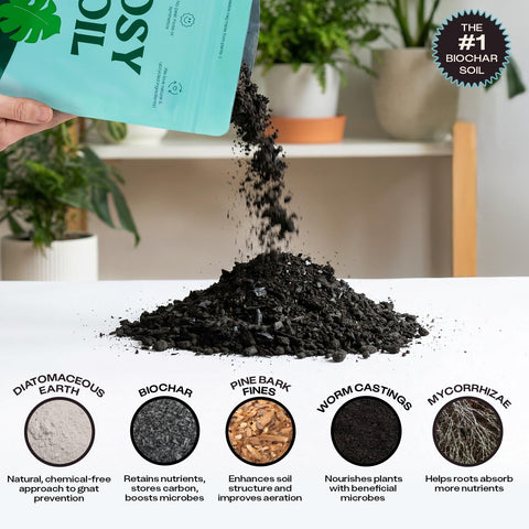 Rosy Soil detalle de micorrizas en sustrato promoviendo absorción