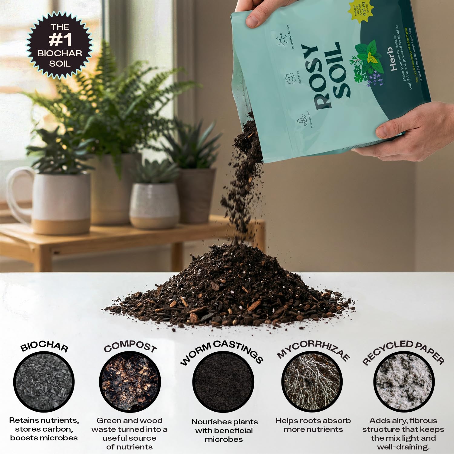 Rosy Soil drenaje en maceta con exceso de agua fluye, evita encharcar