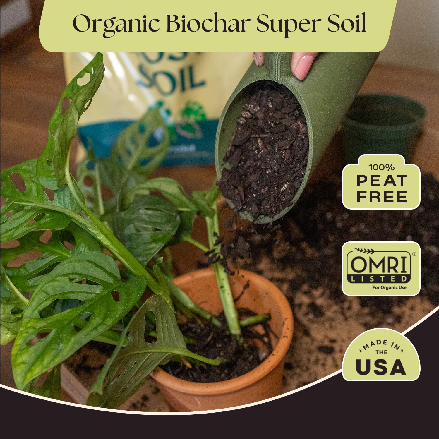Rosy Soil aplicado en maceta con Monstera para raíces saludables