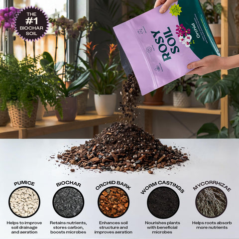 Rosy Soil etiqueta con ingredientes naturales y beneficios