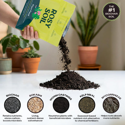 Ingredientes naturales Rosy Soil: kelp, bokashi y humus visibles, aportan nutrientes y microbios