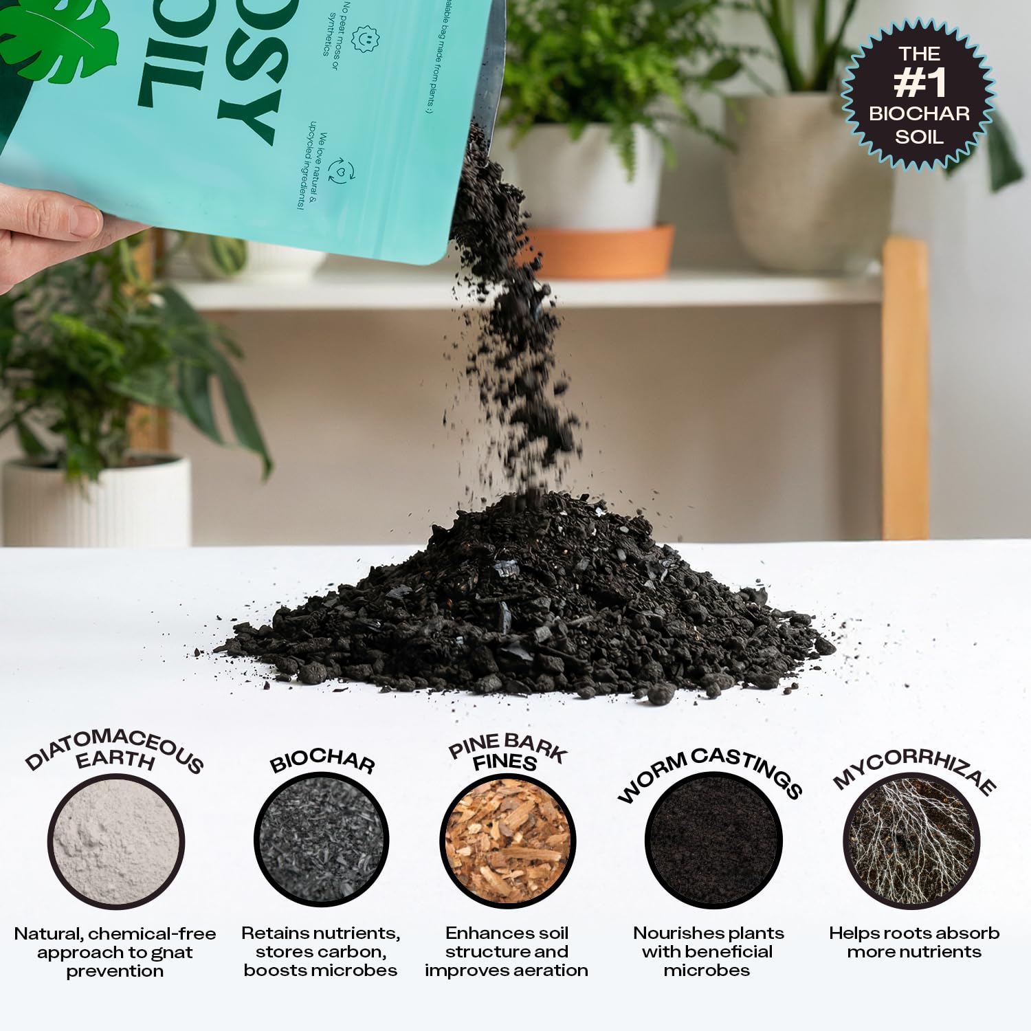 Rosy Soil en maceta con Monstera, promoviendo raíces sanas y vigor