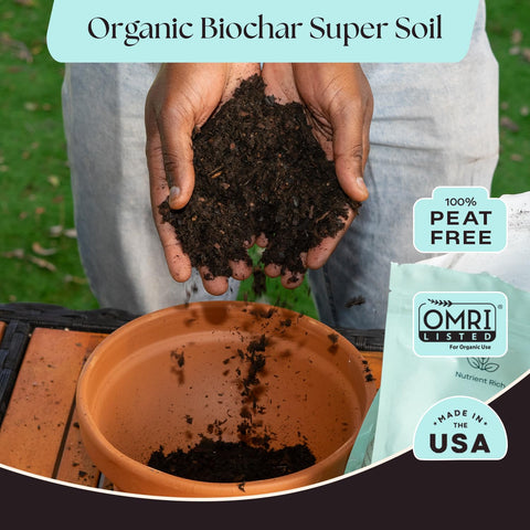 Rosy Soil en macetas de cocina con albahaca, cultivo compacto y fresco