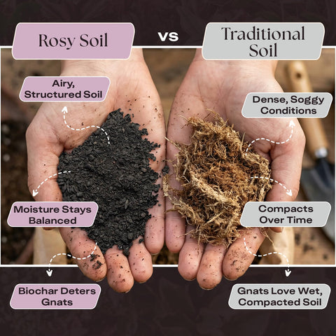 Rosy Soil manos llenando bandeja para rápida germinación y control humedad