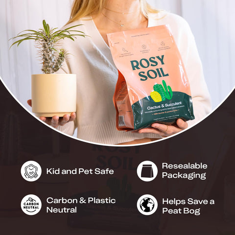 Rosy Soil mezcla en mano, muestra porosidad y composición orgánica