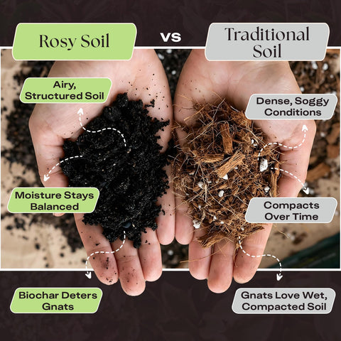 Mezcla de Rosy Soil con sustrato fresco durante un trasplante, reduce choque y mejora raíces