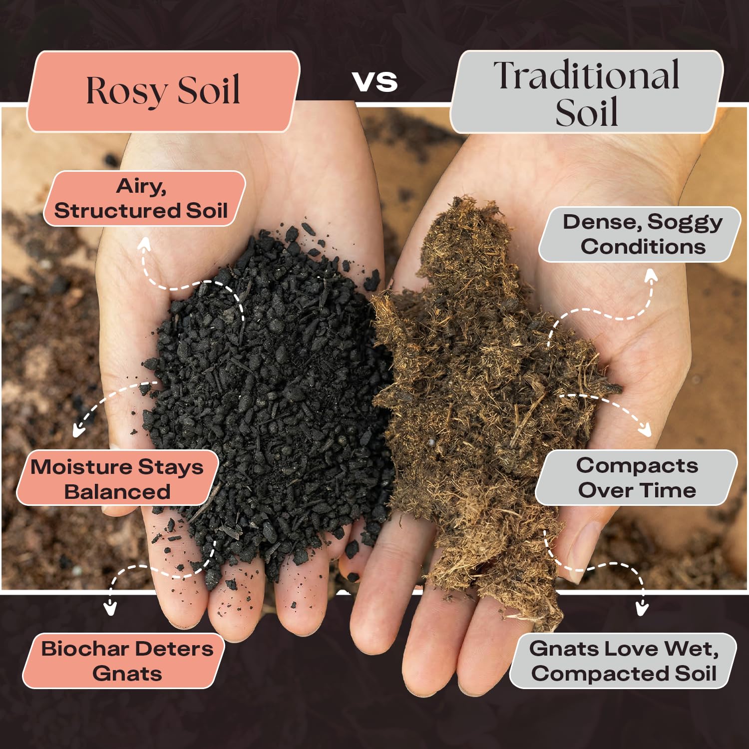 Rosy Soil mientras se planta un aloe, facilita trasplantes sanos