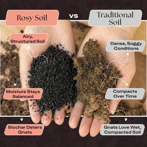 Rosy Soil mientras se planta un aloe, facilita trasplantes sanos