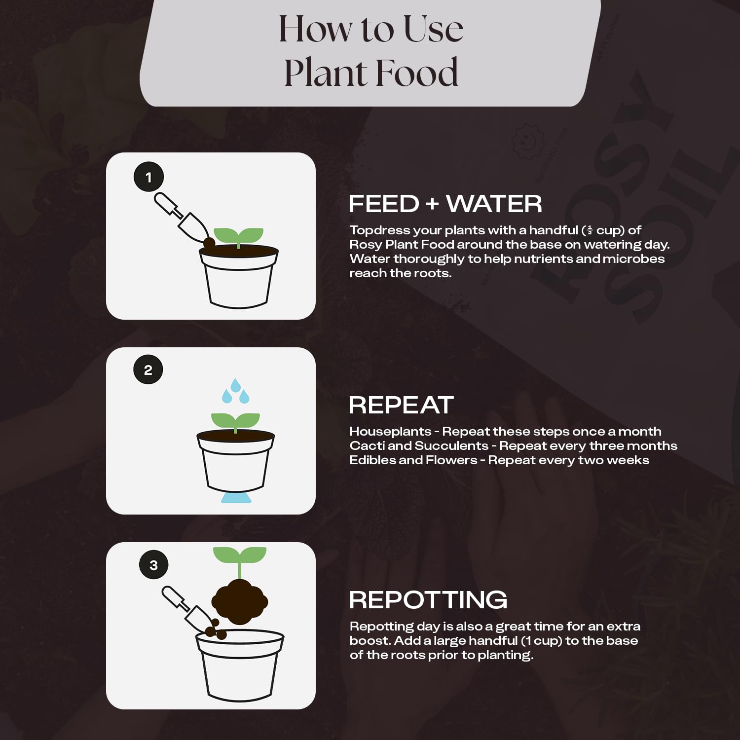 Plantas de interior saludables tras usar Rosy Soil, evidencia de crecimiento sostenido