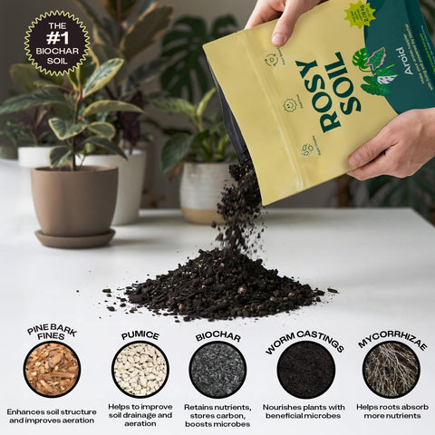 Rosy Soil piedra pómez y corteza que evitan compactación de raíces