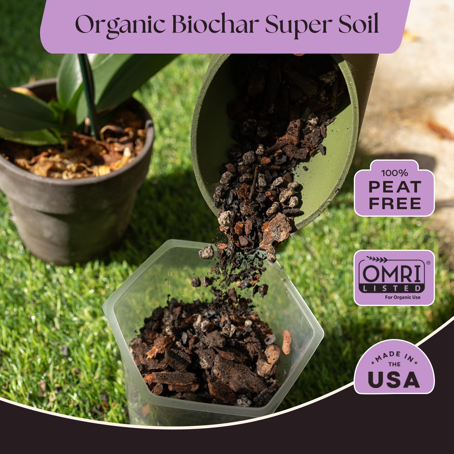 Rosy Soil raíces saludables tras trasplante en mezcla