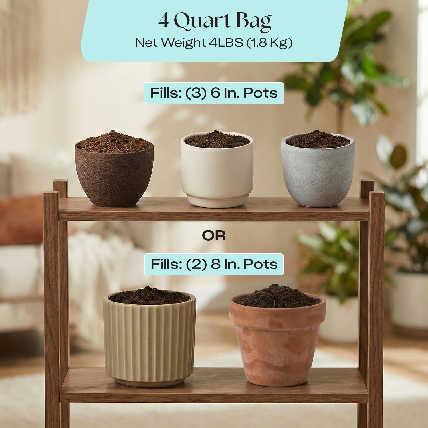 Rosy Soil sustrato en bandeja de plántulas, ideal para germinación rápida