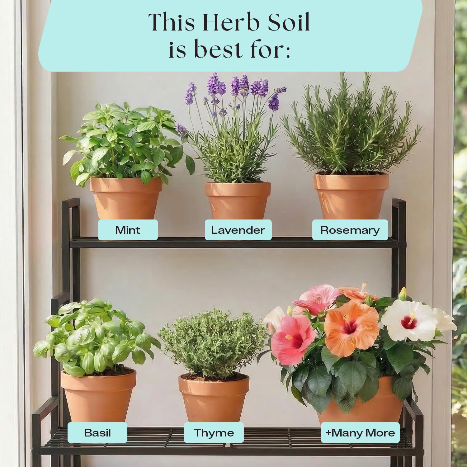 Rosy Soil uso en balcón con varias hierbas, solución para espacios pequeños