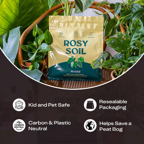 Rosy Soil en uso durante trasplante interior facilitando trabajo limpio