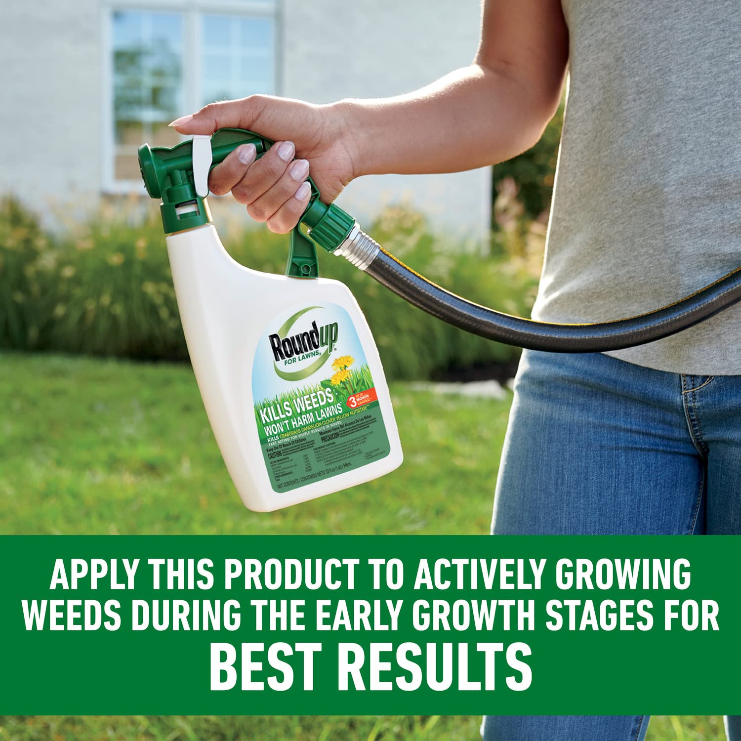 Roundup For Lawns3 etiqueta y folleto interno con lista de malezas y instrucciones claras