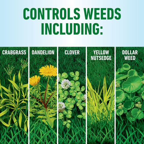 Roundup For Lawns3 aplicándose con manguera sobre césped para tratamiento rápido