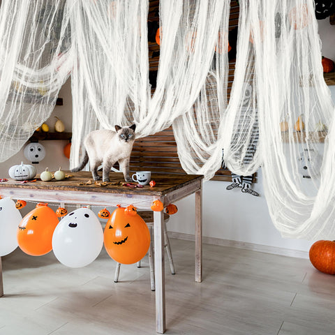 RunNico tela colocada en puerta para recibir visitas con ambiente Halloween