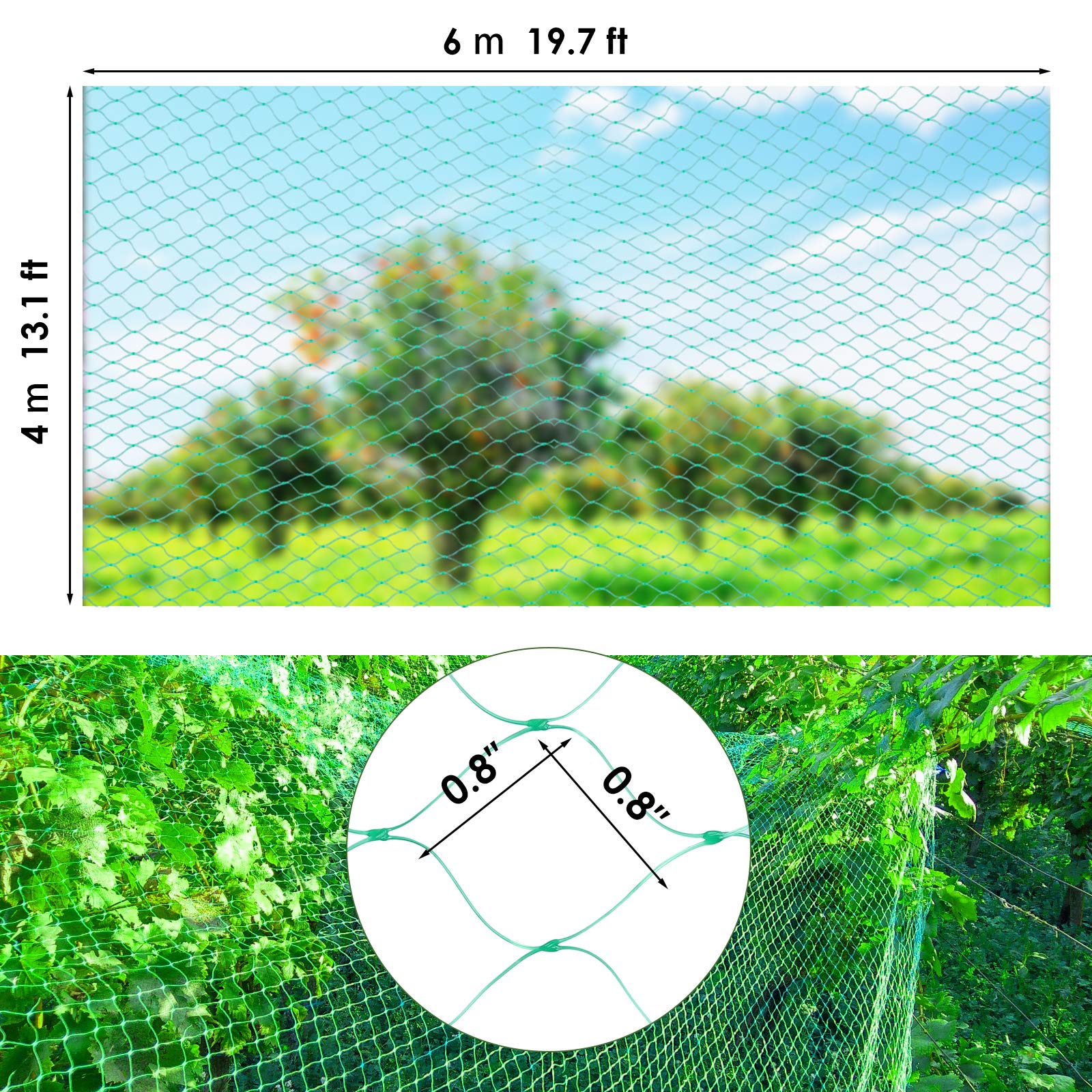 Ruolan malla cubriendo ramas frutales, mantiene frutos seguros y ventilados