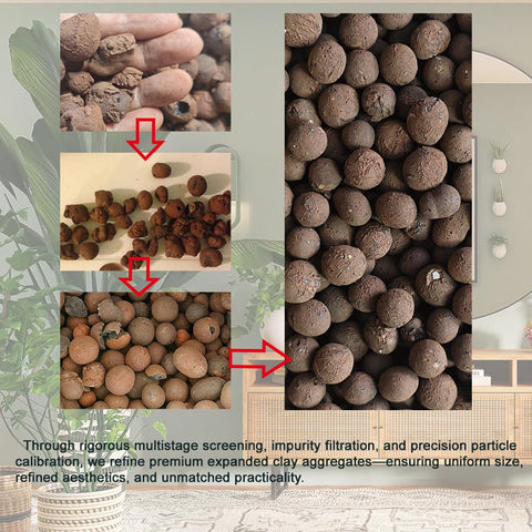 Rurtsva comparación en mano para mostrar escala y cantidad 5LB