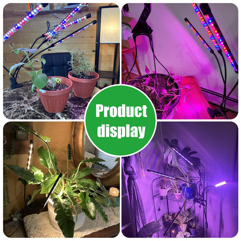 RWNTAO lámpara en ambiente doméstico creando luz natural suplementaria