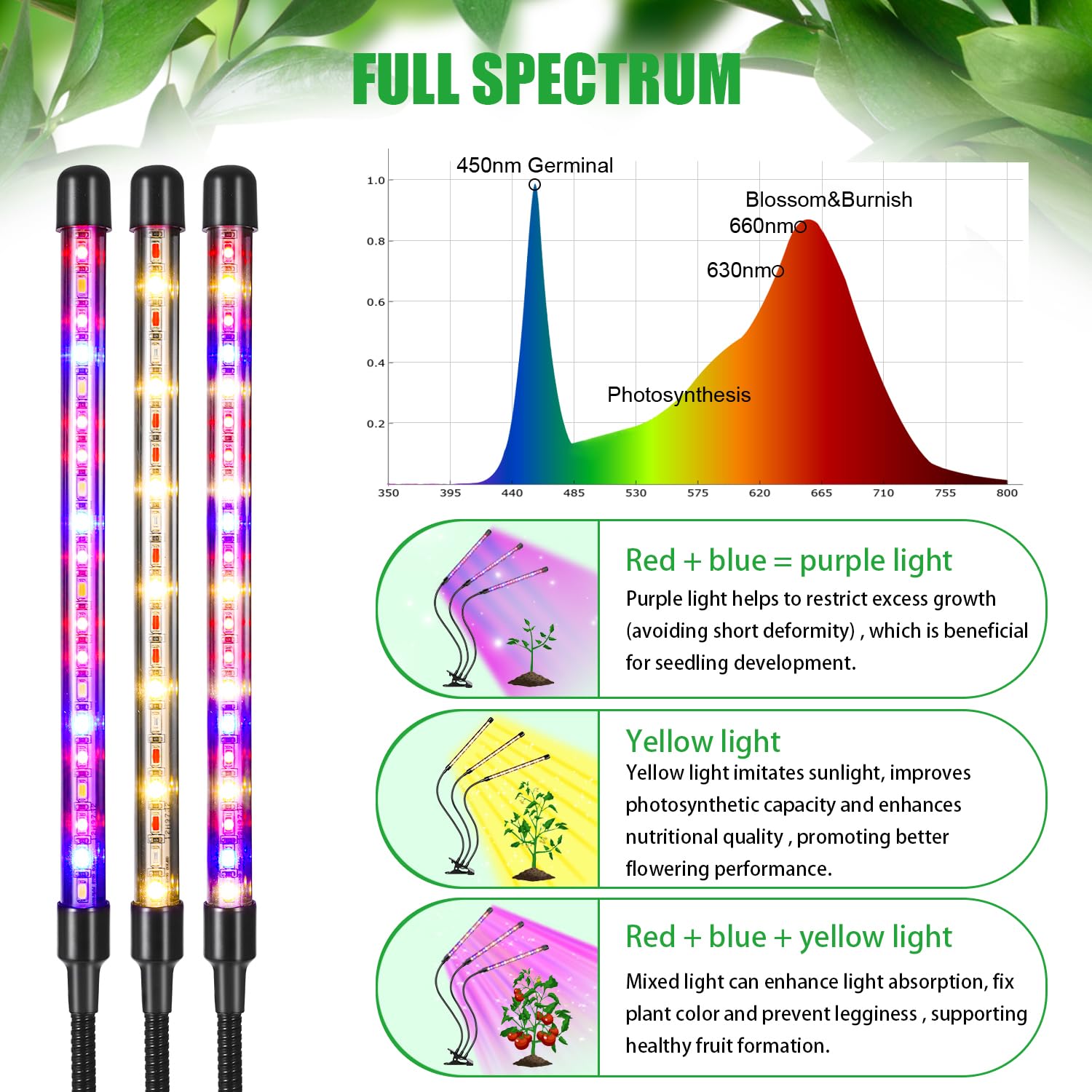 RWNTAO primer plano de los tubos LED mostrando la mezcla de colores
