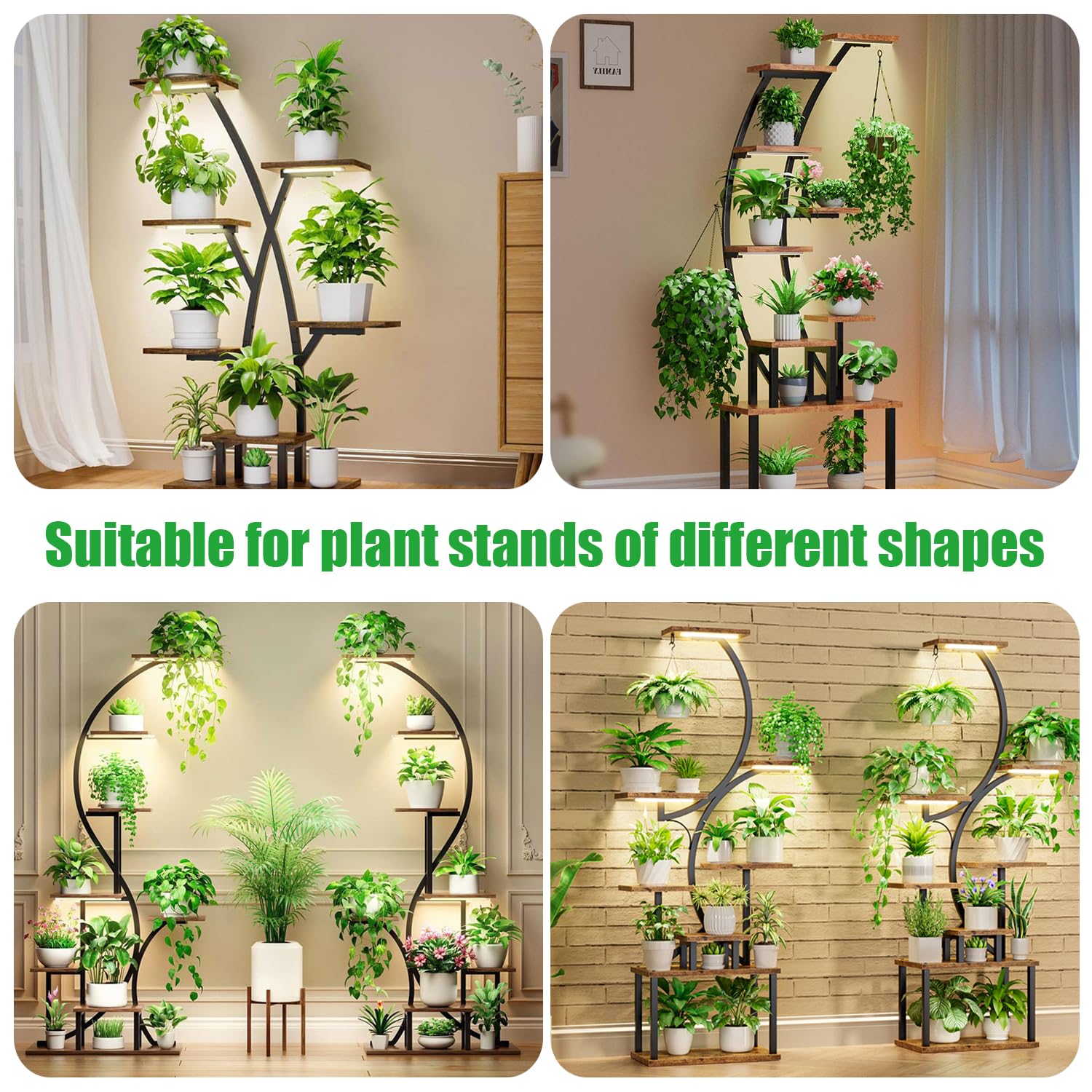 RWNTAO en ambiente doméstico iluminando suculentas y plantas decorativas