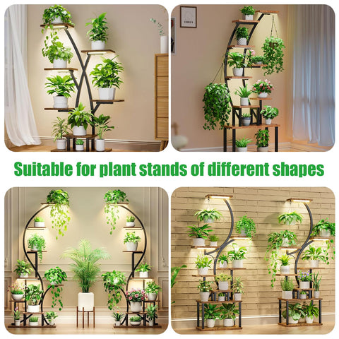 RWNTAO en ambiente doméstico iluminando suculentas y plantas decorativas