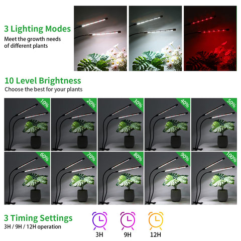 RWNTAO iluminando suculentas en maceta, mejor desarrollo visual