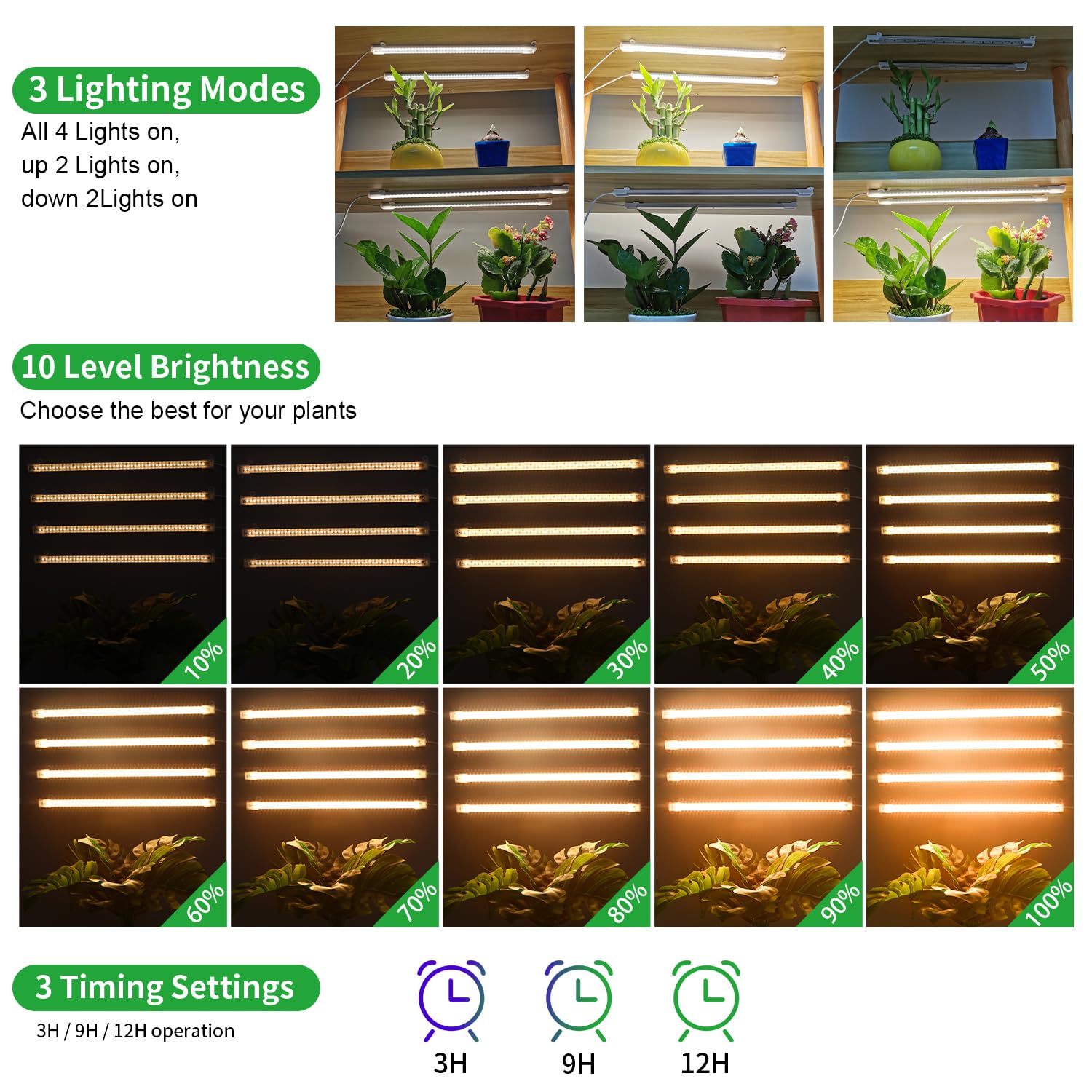 RWNTAO iluminación sobre suculentas para crecimiento uniforme y sano