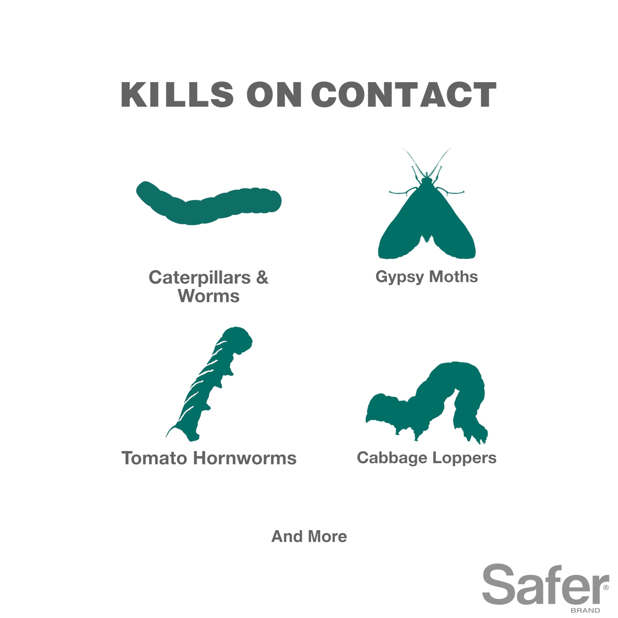 Safer detalle de etiqueta mostrando instrucciones y uso seguro, guía clara