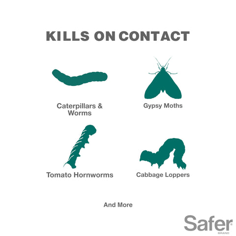 Safer detalle de etiqueta mostrando instrucciones y uso seguro, guía clara