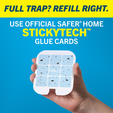 Safer trampa en uso en cocina atrapando moscas y protegiendo alimentos