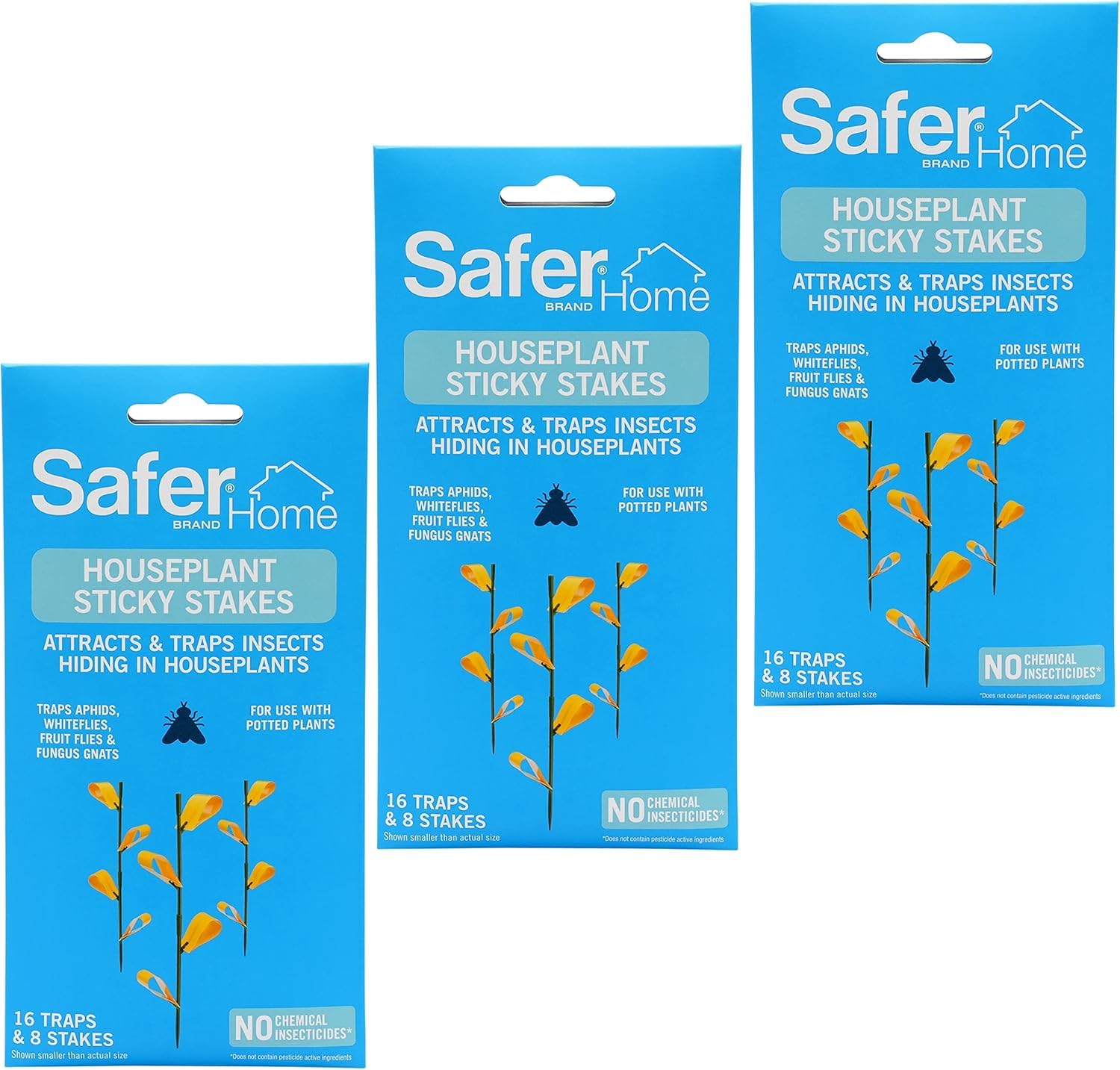 Safer en ambiente sala planta protegida y estética doméstica