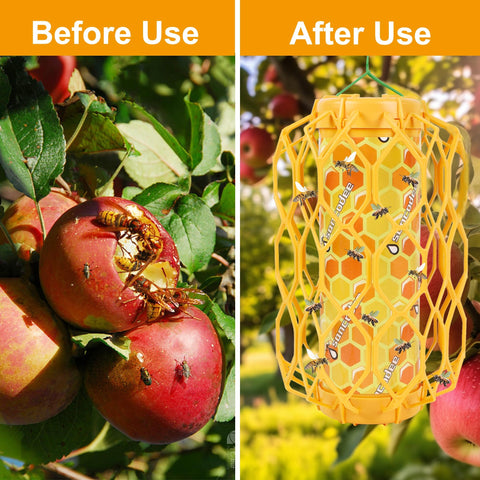 Sancodee trampa colgada en jardín mostrando protección y captura en exteriores
