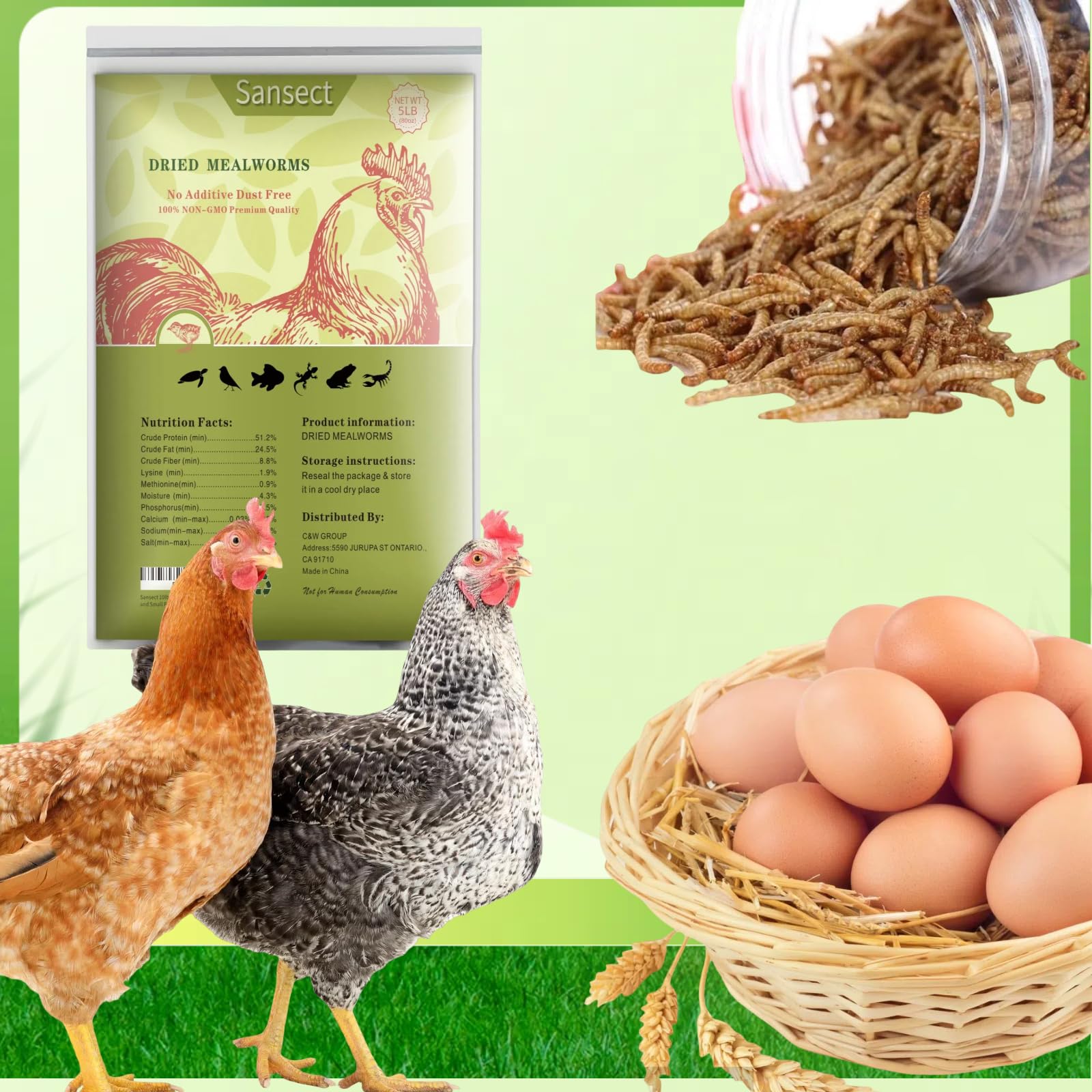SANSECT gusanos en comedero para pollos, suplemento proteico atractivo