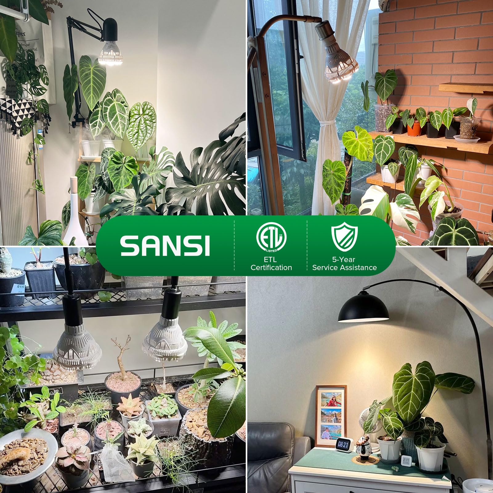 SANSI óptica secundaria enfocando luz homogénea, mayor aprovechamiento