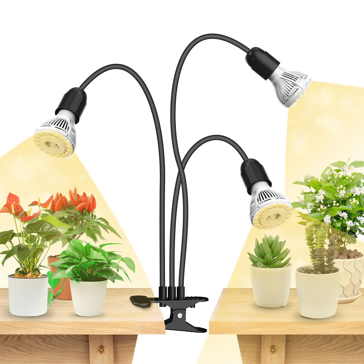SANSI vista frontal del conjunto con cabezas dobles y beneficios de cobertura 360°
